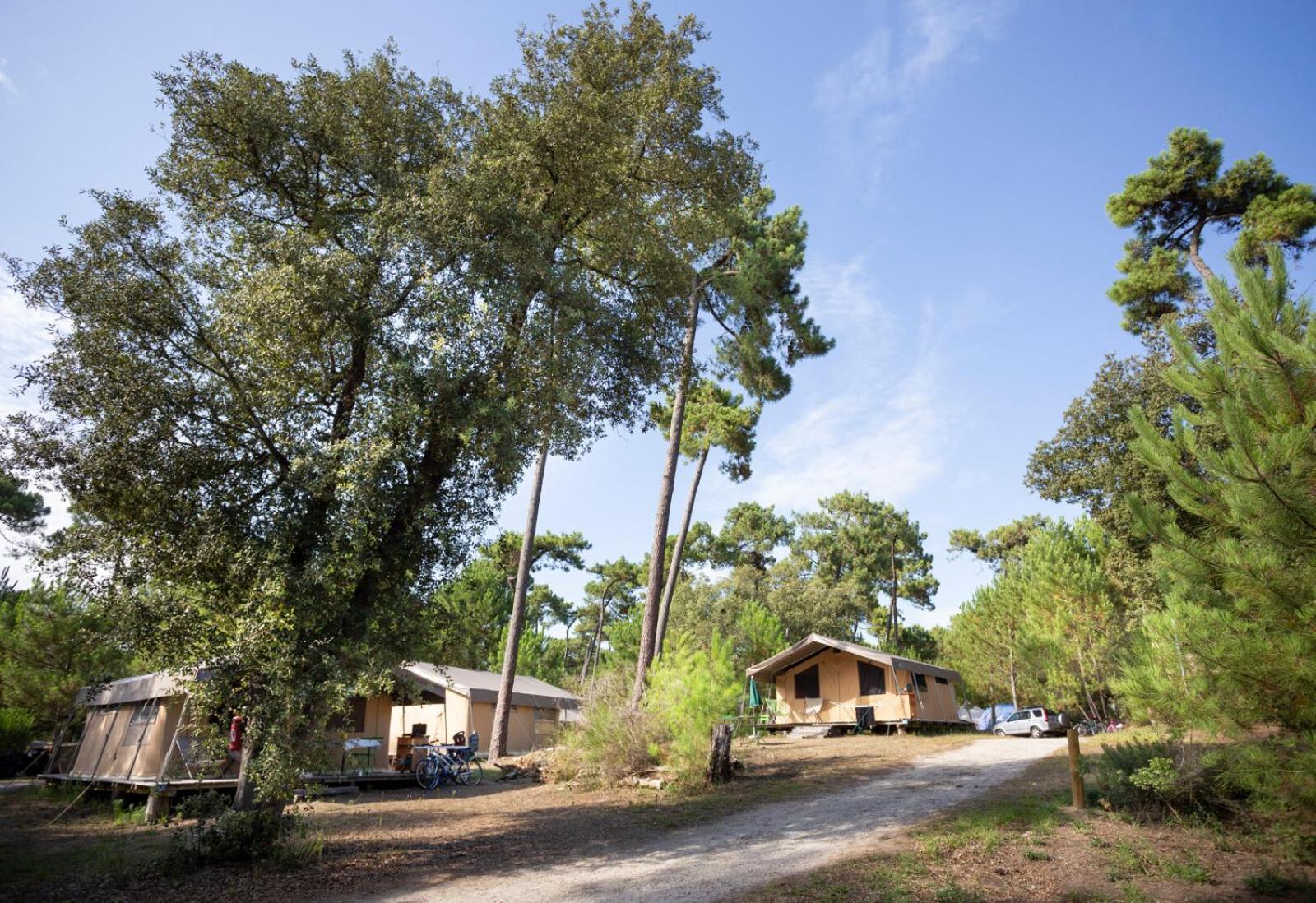 Huttopia Oléron Les Chênes Verts Dolus d'Oléron Exterior foto